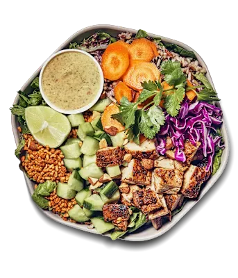Crispy-Rice-Bowl