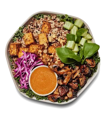 Shroomami-Bowl